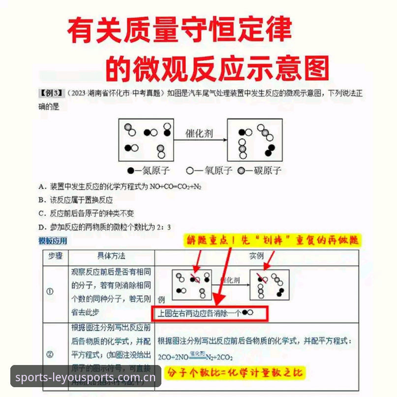乐游体育平台2024教程全面评测：从下载到观赛的技术实战分析